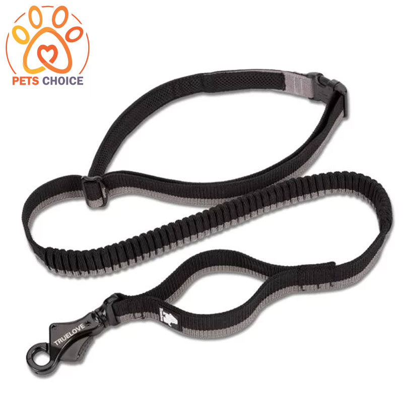 JOGGY LEAD Extendable Elastic Leash with Adjustable Handle